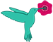 Hummingbird icon