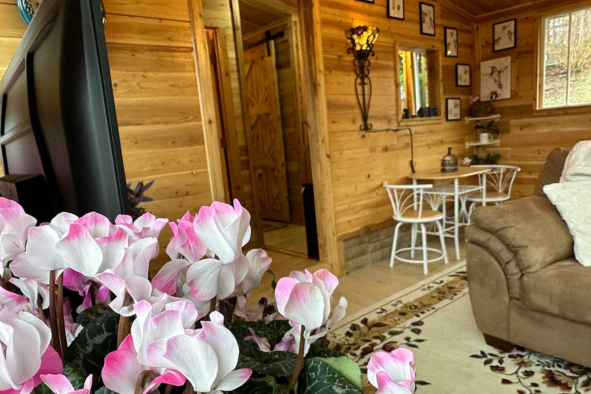 livingroom-6 image livingroom-6